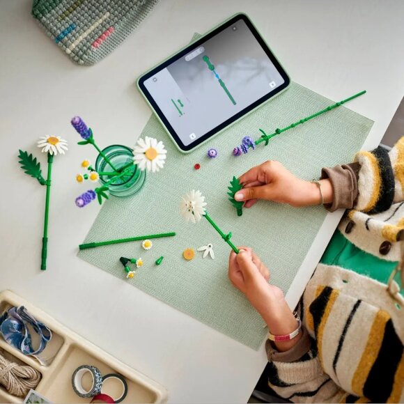 LEGO 11508 Botanicals Daisies New NIB in Hand - Picture 15 of 15